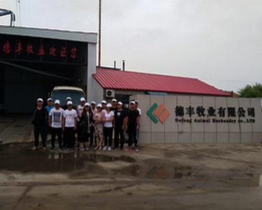 德豐牧業(yè)全體員工向全國人民問好！
